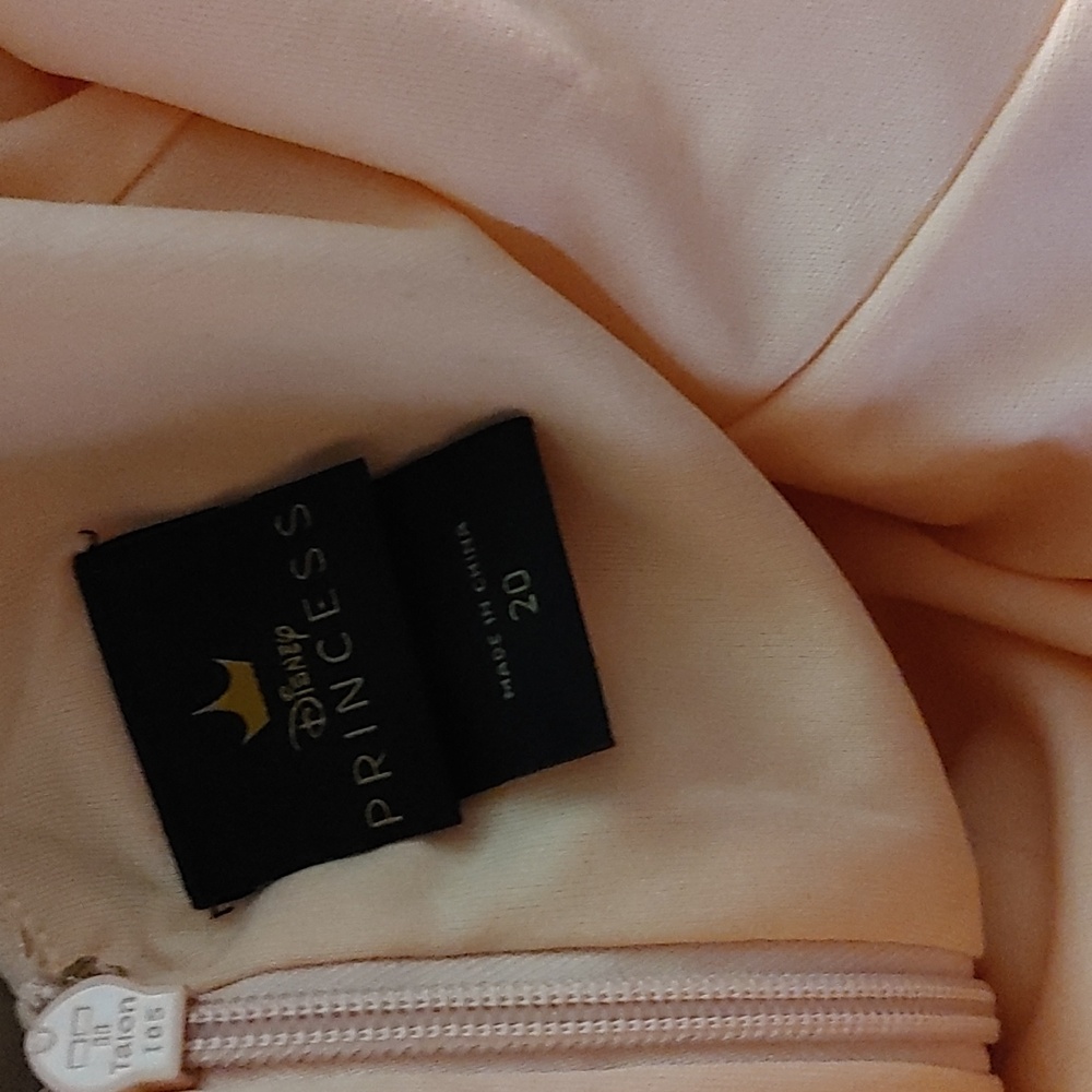 Torrid Princess Aurora ballgown blush pink size 20